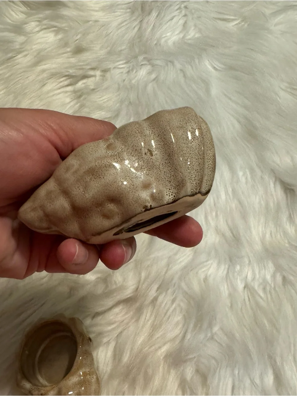 N/A trio seashell